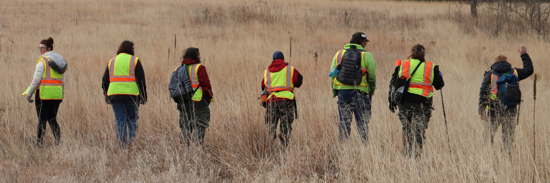 Investigators Searching a Field