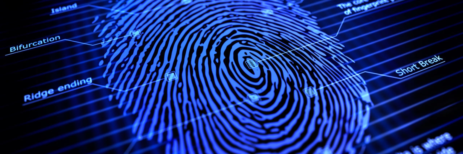 fingerprint graphic