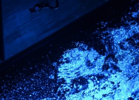 stains in UV light