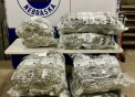 252 pounds of marijuana