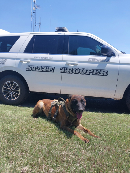 K9 Phoenix lays on the grass in front of a Nebraska State Patrol cruiser.