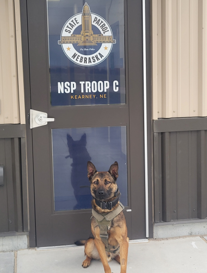 K9 RJ sits in front of the door to the NSP office in Kearney.