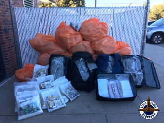 NSP marijuana seizure - 309 pounds