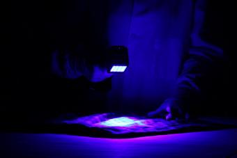 examiner using UV light on fabric