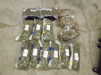 14 pounds of marijuana and mushrooms