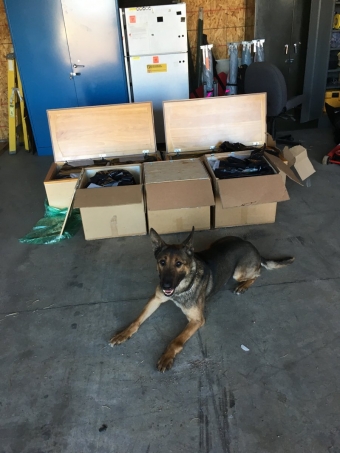 NSP K9 JD and marijuana