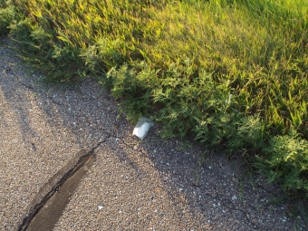 NSP Meth Seizure