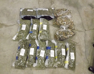 14 pounds of marijuana and mushrooms